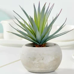 CASA CEMENT Plante Artificielle Gris