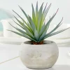 CASA CEMENT Plante Grasse Artificielle Gris