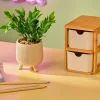 CASA CERA Plante Artificielle Diverses Couleurs