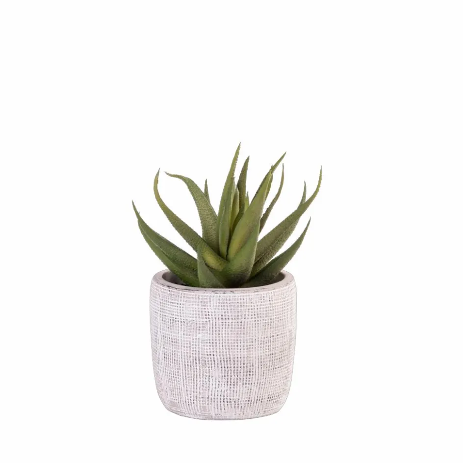 CASA COTTAGE Pot De Jardin Intérieur/Extérieur