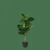 CASA FIGI Plante Artificielle Noir, Vert Foncé