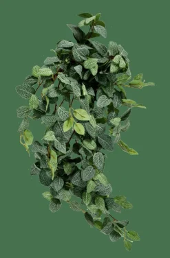 CASA FITTONIA Guirlande Feuilles Vert