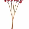 CASA FOAM Citrouilles Déco Set De 12 Rouge