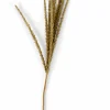 CASA GOLDENROD Tige Blanc