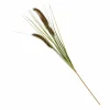 CASA GRASS Botte D'herbe Rouge