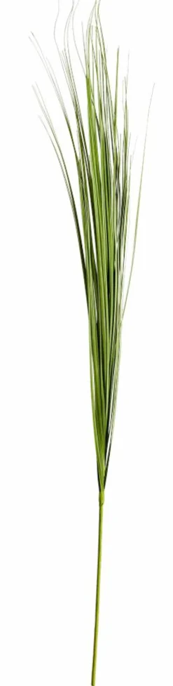 CASA GRASS Botte D'herbe Rouge