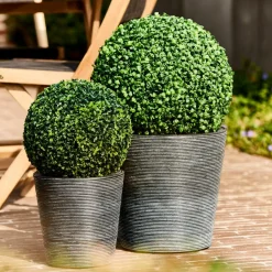 CASA GREEN Boule Buis Vert