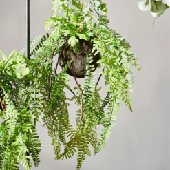 CASA GREENERY Pot à Suspendre Avec Fougère Vert