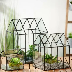 CASA GREENHOUSE Serre Transparent