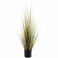 CASA HERBA Herbe En Pot Vert