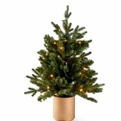 CASA HYMNE Branche Décorative Vert