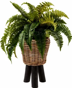CASA LARGO Pot De Fleurs Noir
