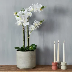 CASA ORCHID Orchidée En Pot Blanc