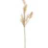 CASA PAMPA Herbe Des Pampas Blanc