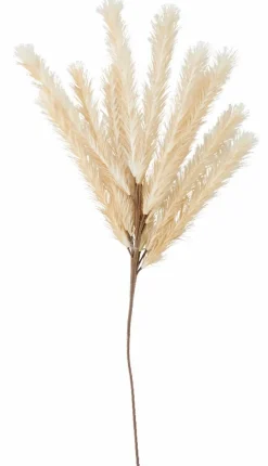 CASA PLUME Plumes Décoratives Brun Clair