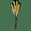 CASA PLUME Plumes Décoratives Vert