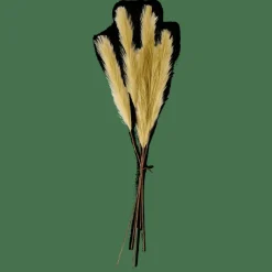 CASA PLUME Plumes Décoratives Vert
