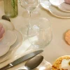 CASA PREMIUM Verre à Eau 43 CL