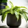 CASA SENSE Pot De Jardin Noir