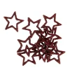 CASA STAR Décoration Séchée