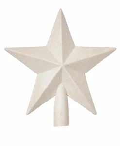 CASA STAR Décoration Séchée