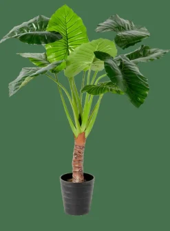 CASA TARO Plante Artificielle Arum Vert